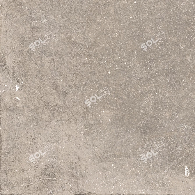  Flaviker Nordik Stone Sand 60x60 - Premium Floor Collection 3D model image 5