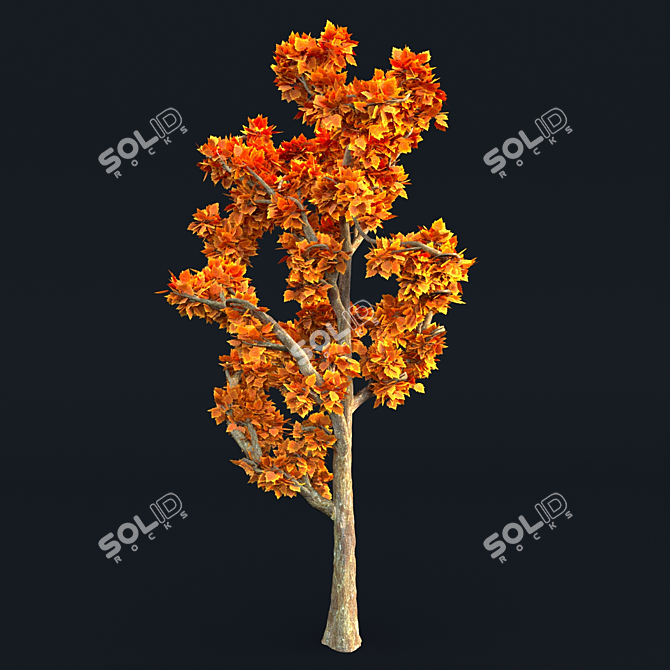 2017 Tree Model: Unwrapped, Corona Render Compatible 3D model image 2