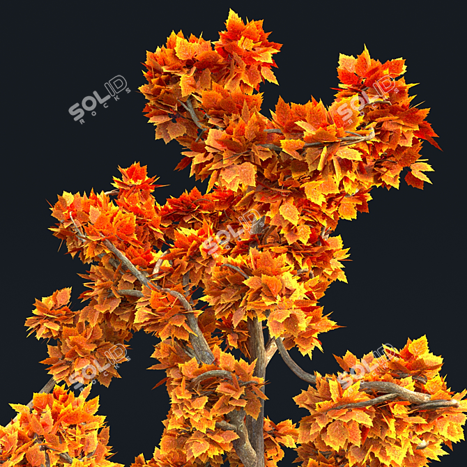 2017 Tree Model: Unwrapped, Corona Render Compatible 3D model image 3