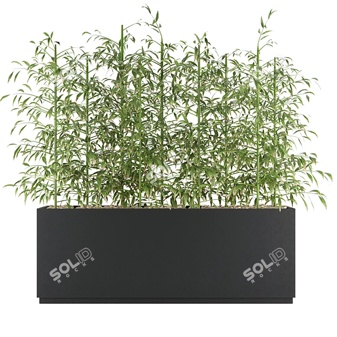 Premium Plant Collection: Vol. 95 3D model image 3