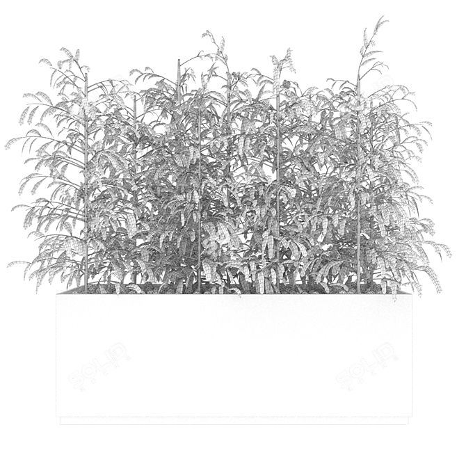 Premium Plant Collection: Vol. 95 3D model image 4