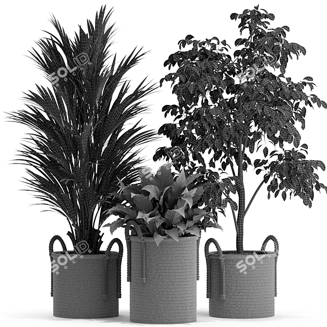 Diverse Plant Collection: 447 Varieties 3D model image 2