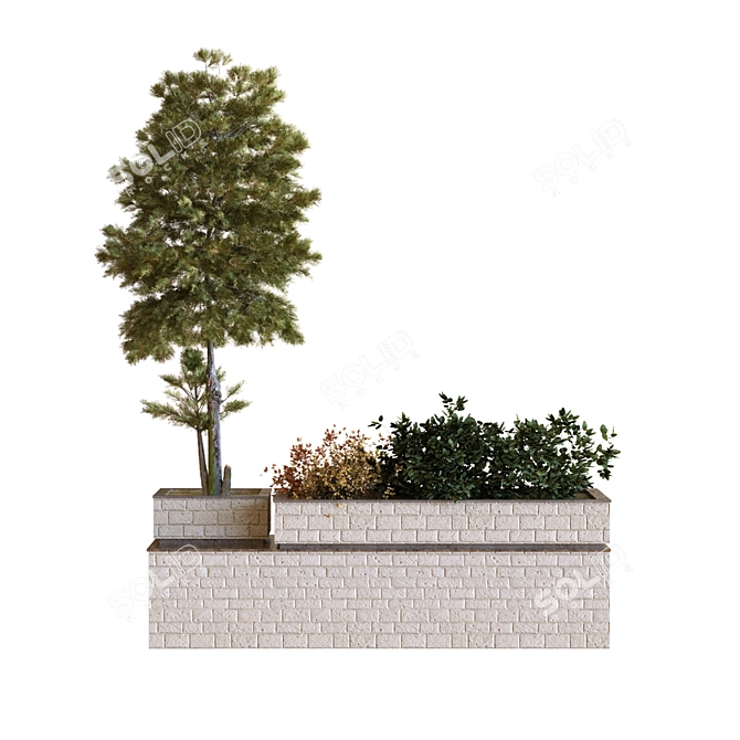 Evergreen Tree Box Set 3D model image 3