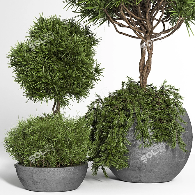 Indoor/Outdoor Decor Accent: Outdoor Plants Tree 04 3D model image 3