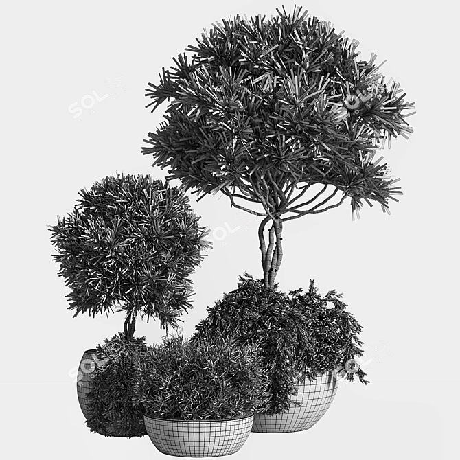 Indoor/Outdoor Decor Accent: Outdoor Plants Tree 04 3D model image 5