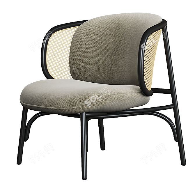 Suzenne Thonet Vienna Armchair: Elegant and Timeless Design 3D model image 3