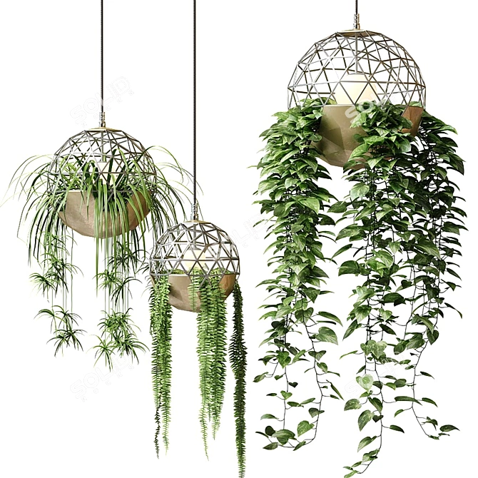 Title: Atelier Schroeter Hanging Plant Luminaires 3D model image 1