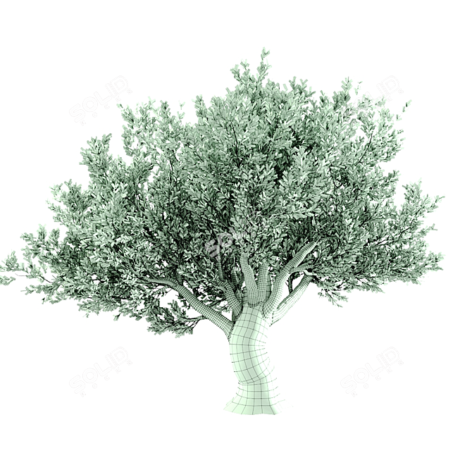 Stunning 3D Tree Model 3D model image 4