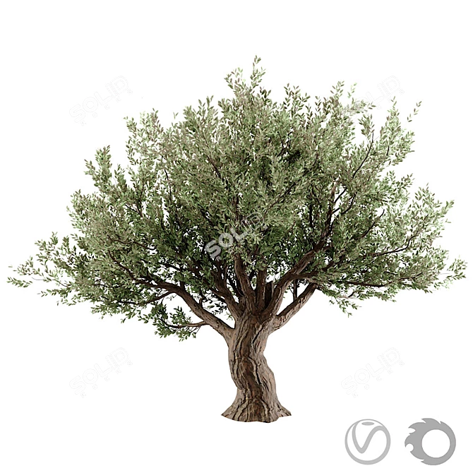 Stunning 3D Tree Model 3D model image 5