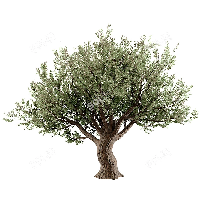 Stunning 3D Tree Model 3D model image 6