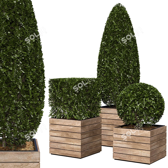 3 Model Shape Bush Plant 3D model image 1