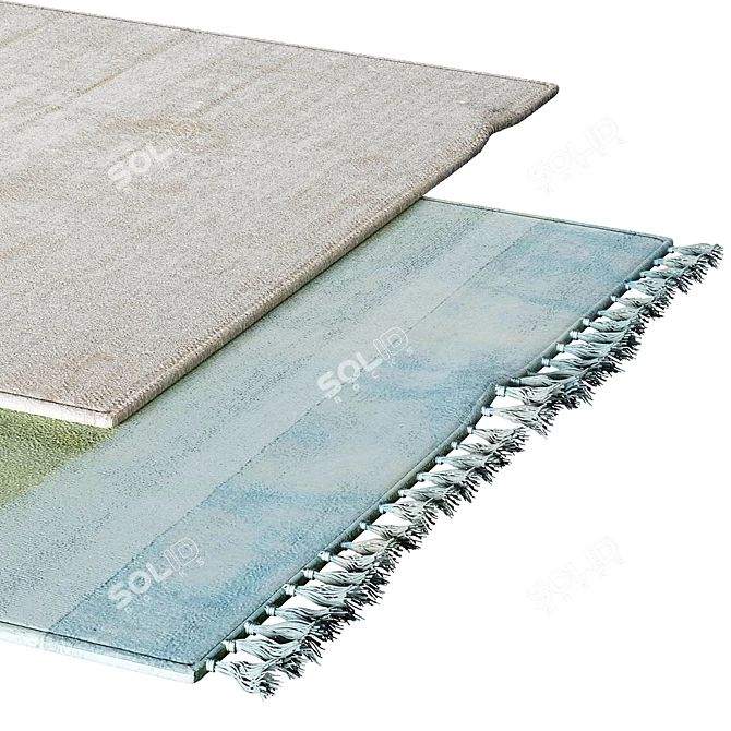 Soft & Stylish Carpets | 444 568 Polys 3D model image 2