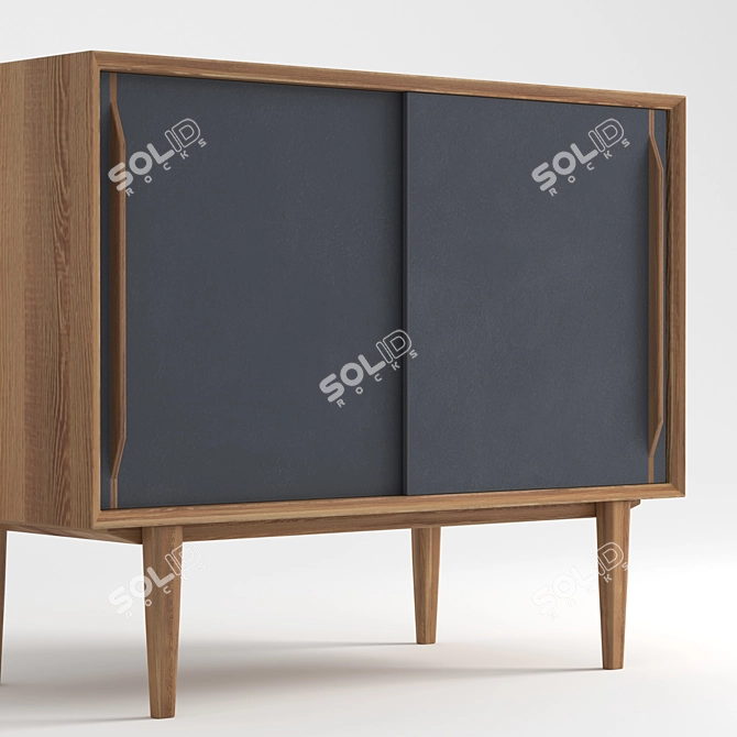 Scandinavian Style Two-Door Chest: Bruni Black 3D model image 4