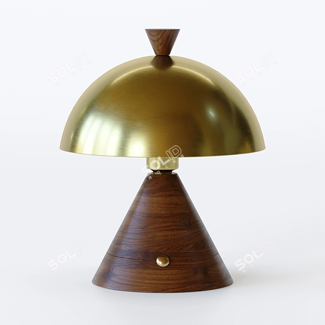 Elegant Wooden Cone Table Lamp 3D model image 1