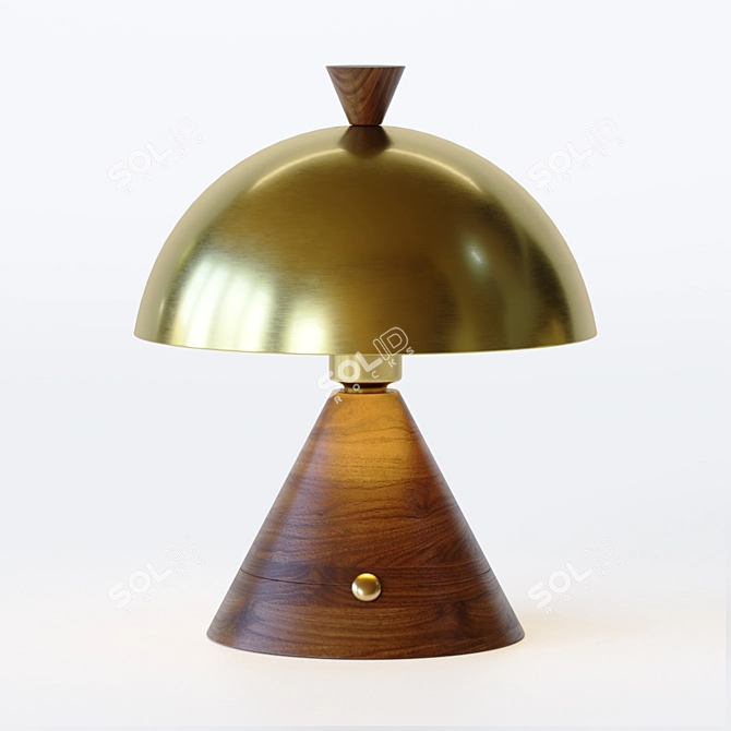 Elegant Wooden Cone Table Lamp 3D model image 2
