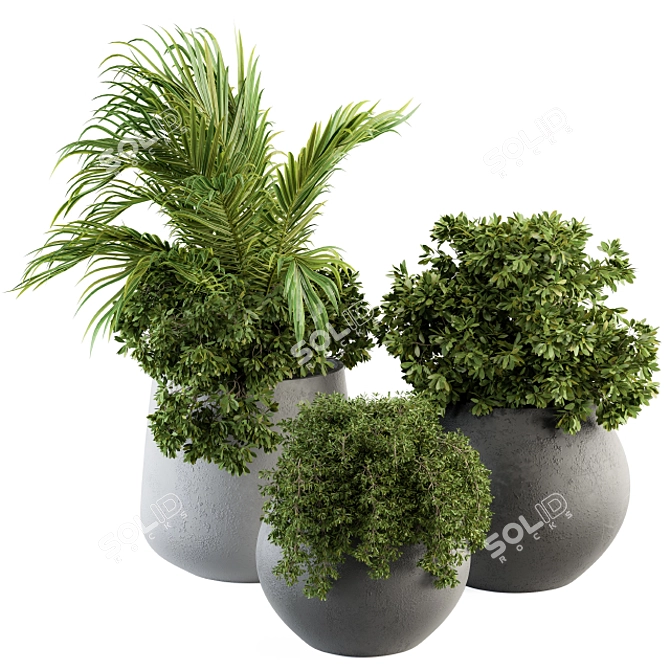 Greenery Delight - Indoor Plant Set 3D model image 1