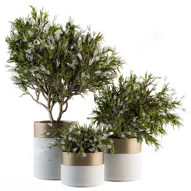 Floral Oasis: Indoor Plant Set 181 3D model image 1