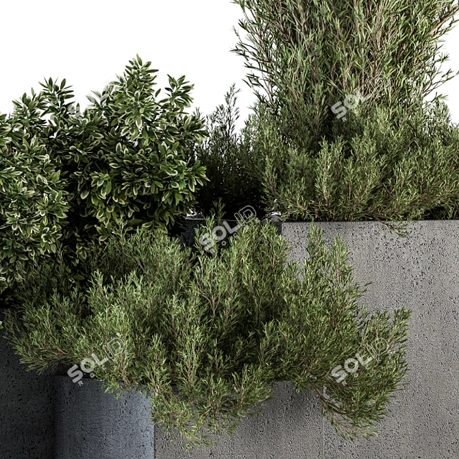 Concrete Box Outdoor Tree Set 3D model image 2