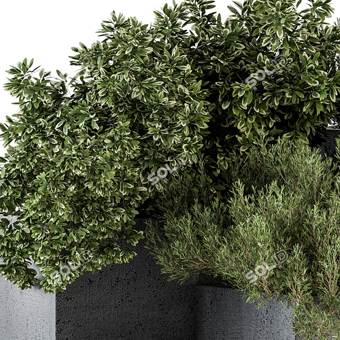 Concrete Box Outdoor Tree Set 3D model image 4