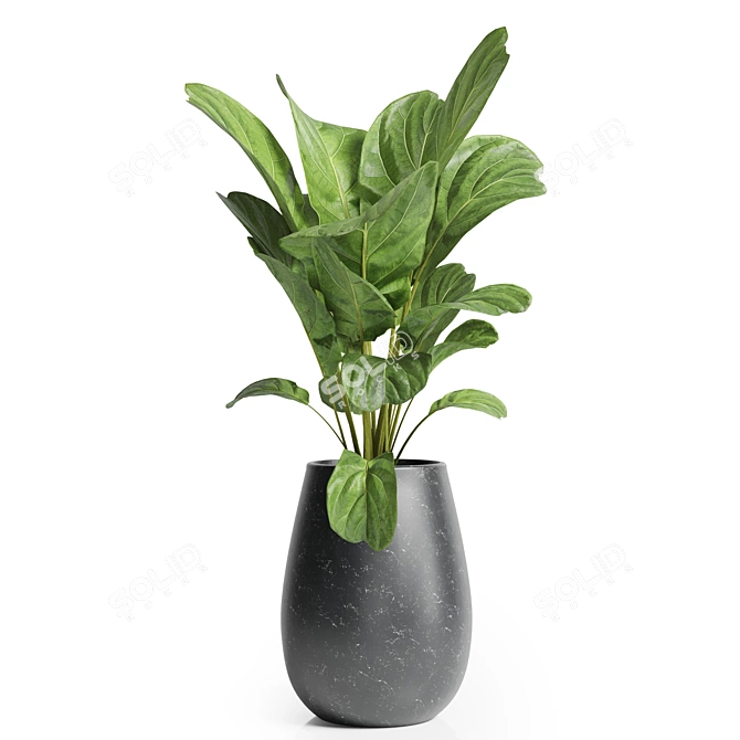 Title: 23 Indoor Plant | High-Quality 3D Model 3D model image 3