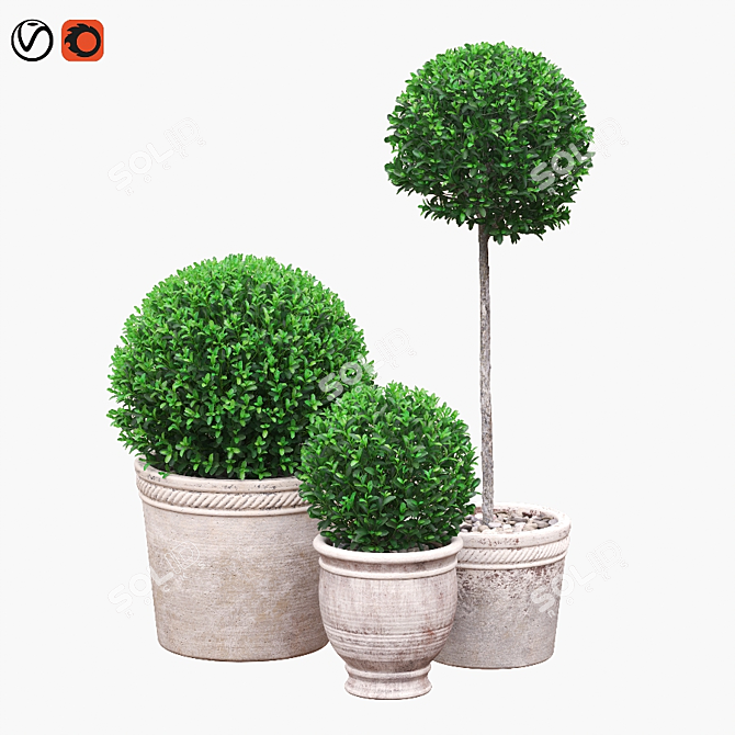 Artificial Boxwood Bushes in Stylish Pots 3D model image 1