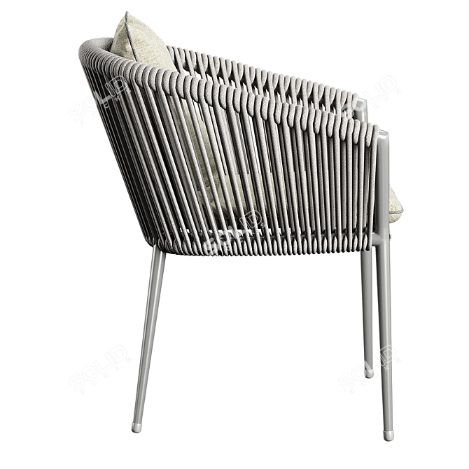 Elegant Gray Muse Dining Chair 3D model image 3