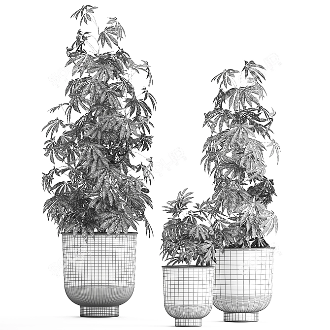 Modern Plant Collection with Vig Planter L Set 3D model image 5