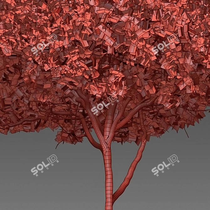 Stunning Stone Pine Tree 3D model image 4