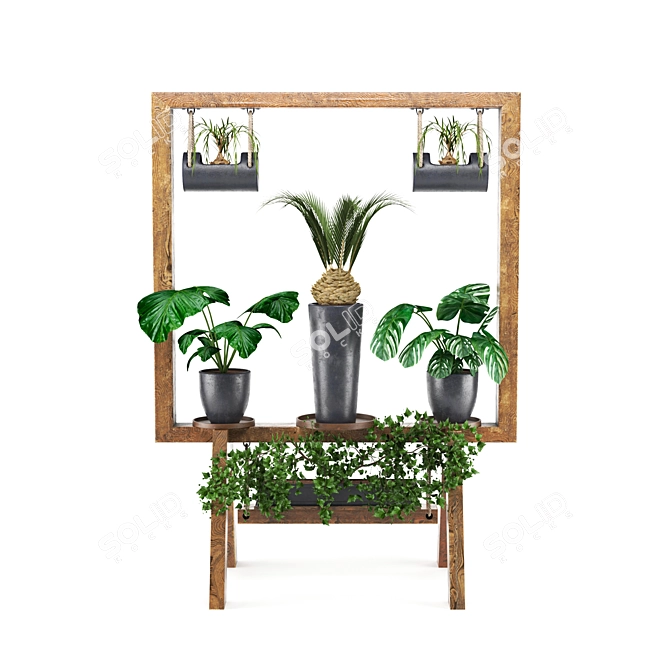 Wooden Plant Collection Stand 3D model image 2