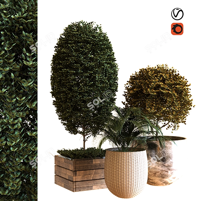 Botanical Box Set 038: Lush Greenery for Your Space 3D model image 1