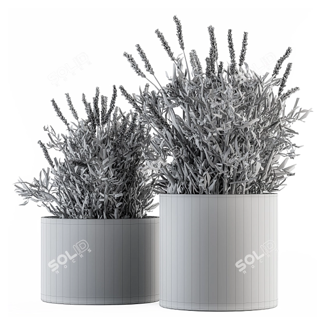 Indoor Lavender Bush - Plant Set 3D model image 4