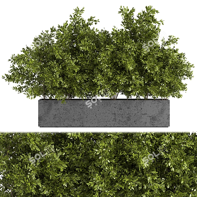 Outdoor Oasis: Concrete Box Tree 3D model image 1