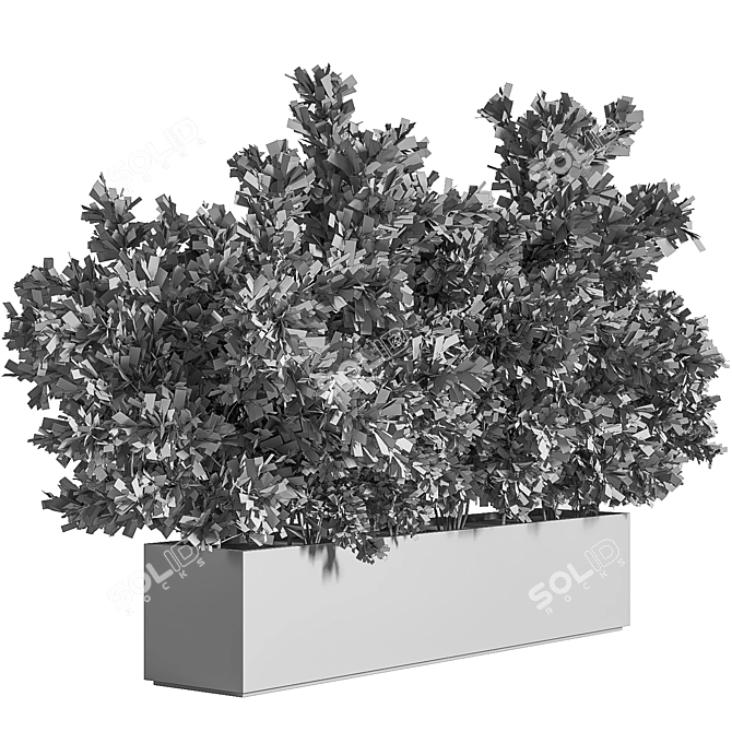 Outdoor Oasis: Concrete Box Tree 3D model image 5