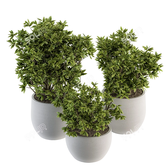 Outdoor Tree Set: Concrete Pot Ensemble 3D model image 1