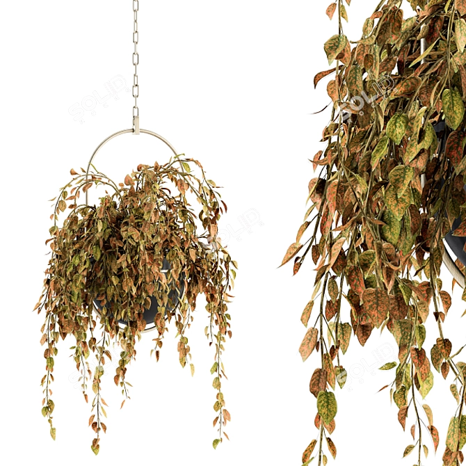 Indoor Hanging Pot Set 168 3D model image 1