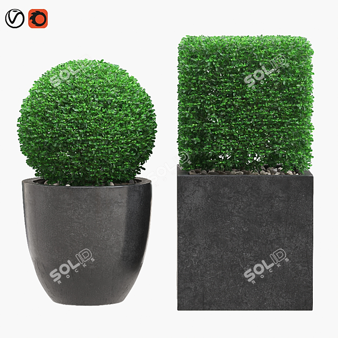 Artificial Buxus Topiary Plant 3D model image 1