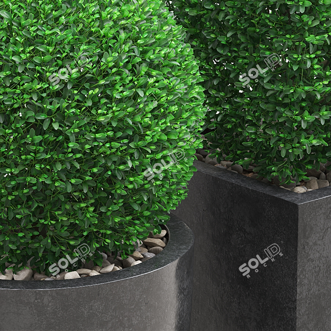 Artificial Buxus Topiary Plant 3D model image 2