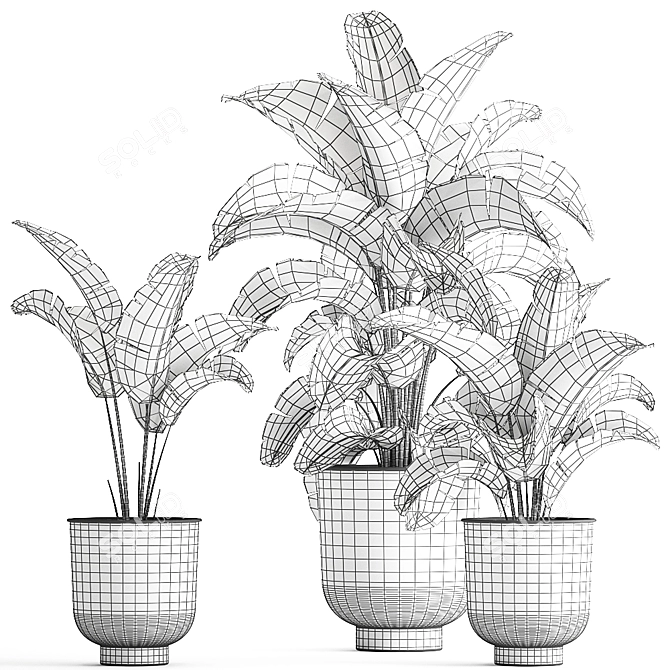 Tropical Paradise Plant Collection 3D model image 5