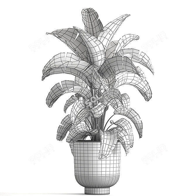 Tropical Plant Paradise: Exotic Banana Palm, Ravenala & Strelitzia 3D model image 5