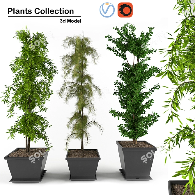 3D Greenery Collection: Indoor Plants 3D model image 1