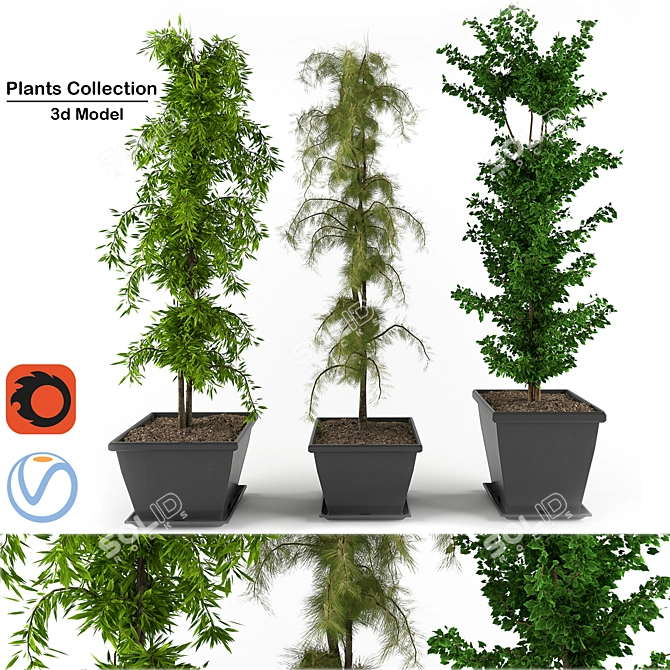 3D Greenery Collection: Indoor Plants 3D model image 2