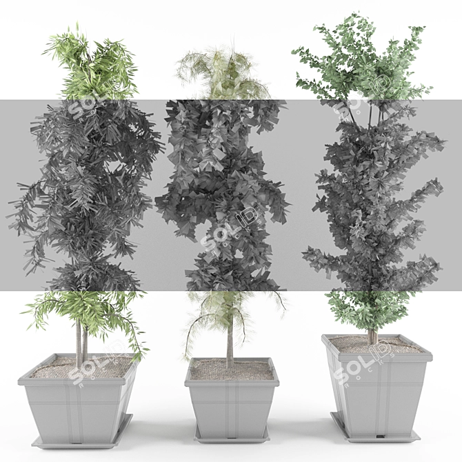 3D Greenery Collection: Indoor Plants 3D model image 4