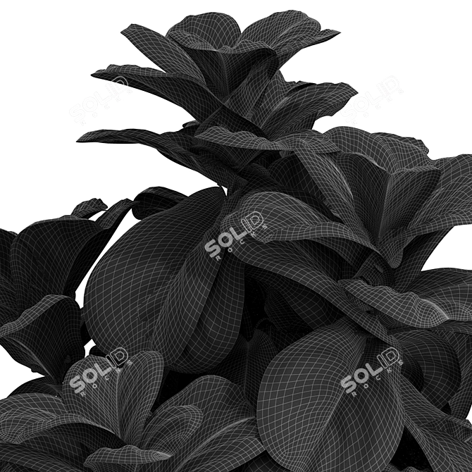 Botanical Bliss: Diverse Plant Collection 3D model image 3