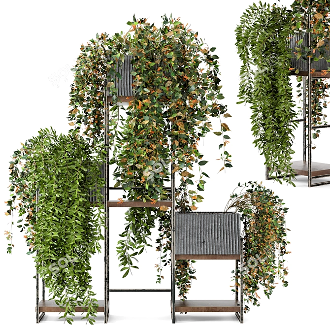  Rusty Concrete Pot Indoor Plants - Set 67 3D model image 1