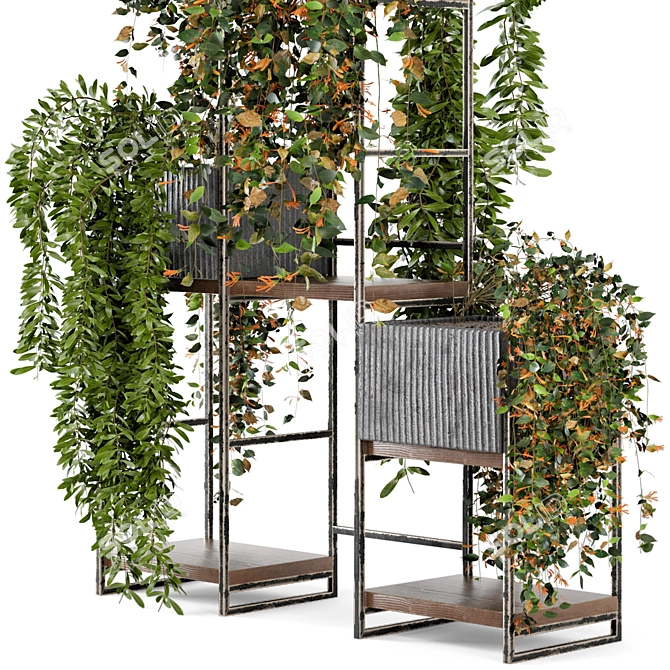  Rusty Concrete Pot Indoor Plants - Set 67 3D model image 4