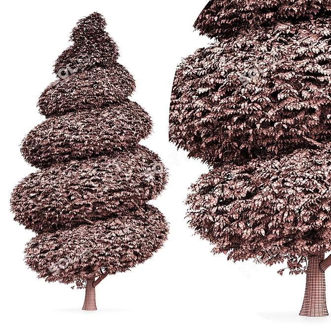 Burford Holly Spiral Topiary Tree: Stunning 3D Model 3D model image 4