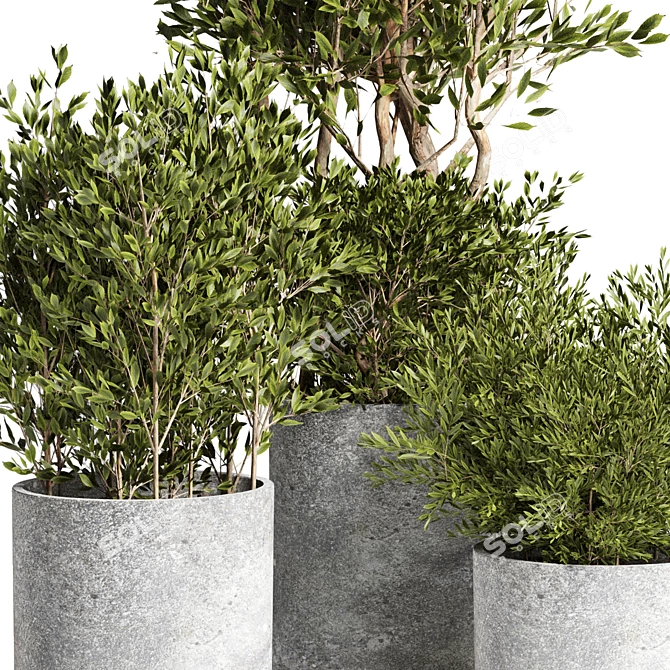 Outdoor Plant 09: Realistic 3D Model 3D model image 3