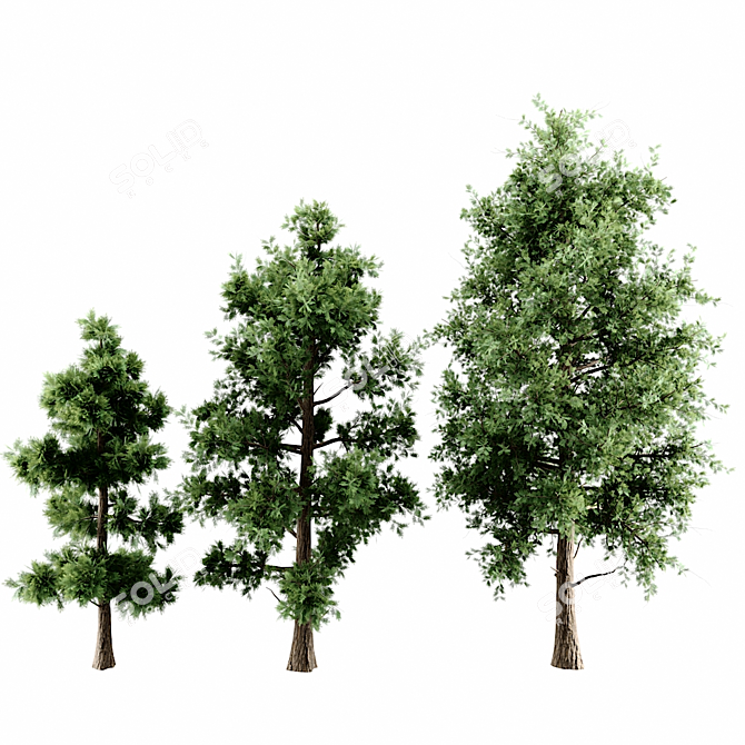 Versatile 3D Tree Pack: Multiple Heights & Textures 3D model image 1