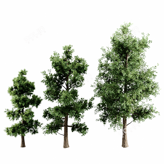 Versatile 3D Tree Pack: Multiple Heights & Textures 3D model image 2