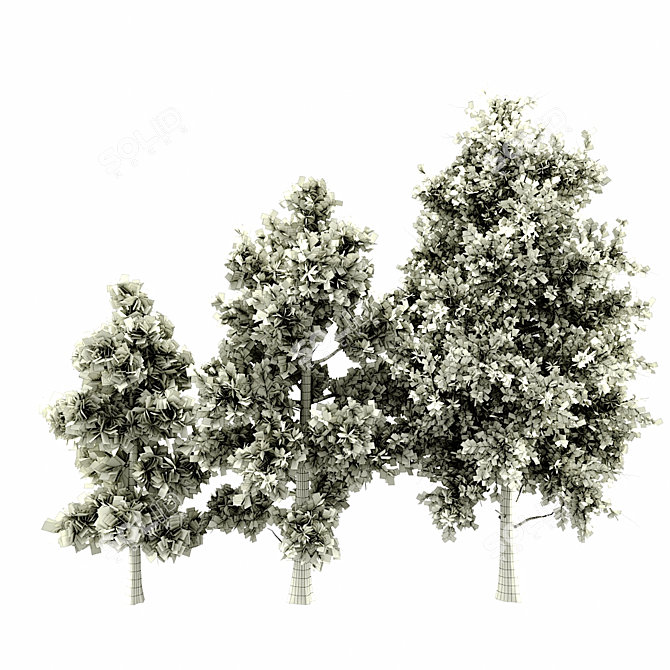 Versatile 3D Tree Pack: Multiple Heights & Textures 3D model image 5